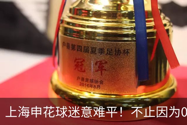 上海申花球迷意难平！不止因为0-1町田泽维亚，更多在于以下五点