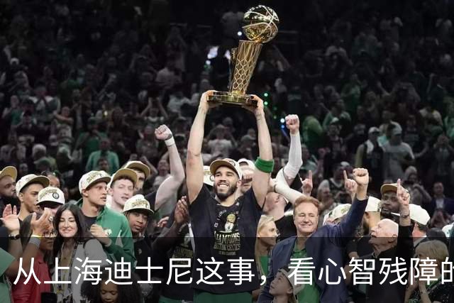 从上海迪士尼这事，看心智残障的败类！