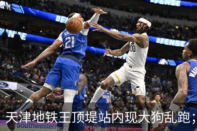 天津地铁王顶堤站内现大狗乱跑；地铁回应：应该是流浪狗；乘客疑惑：它咋过的安检？