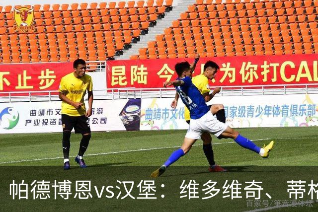 帕德博恩vs汉堡：维多维奇、蒂格斯首发，法比奥-维埃拉、波尔森出战