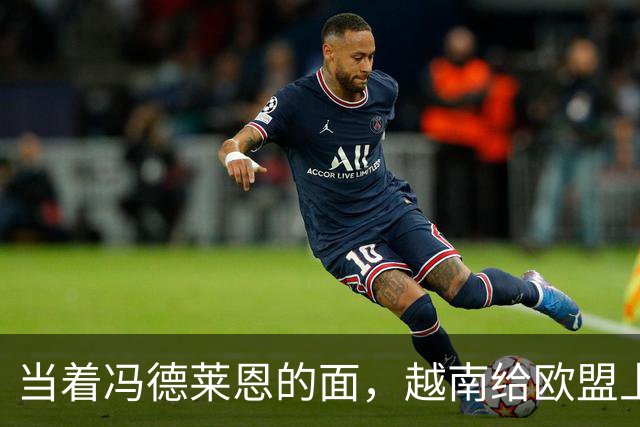 当着冯德莱恩的面，越南给欧盟上了一课：这就是“中国力量”