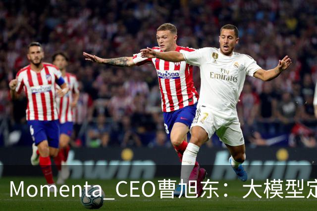 Momenta CEO曹旭东：大模型定义芯片 才有可能实现规模化L4